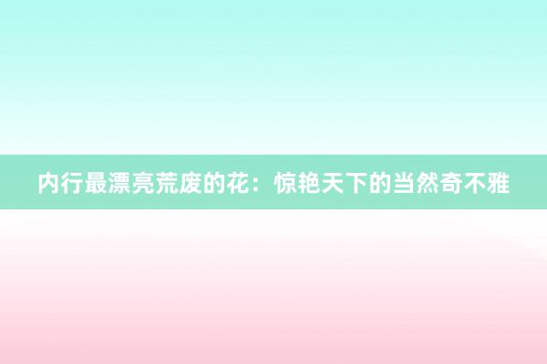 内行最漂亮荒废的花:惊艳天下的当然奇不雅