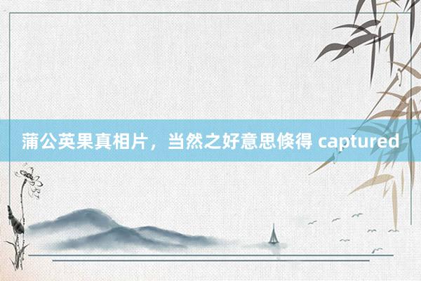 蒲公英果真相片，当然之好意思倏得 captured