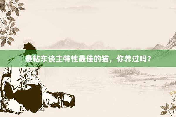 最粘东谈主特性最佳的猫,你养过吗?