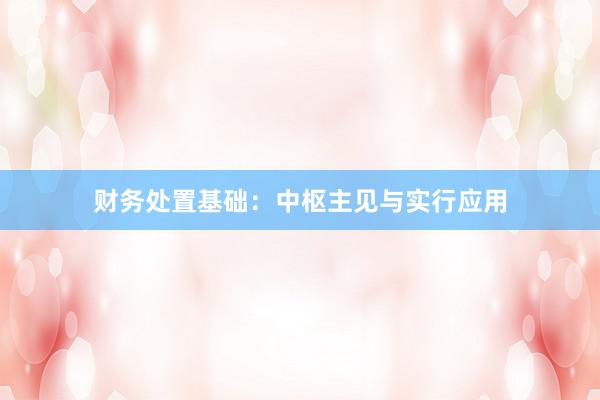 财务处置基础：中枢主见与实行应用
